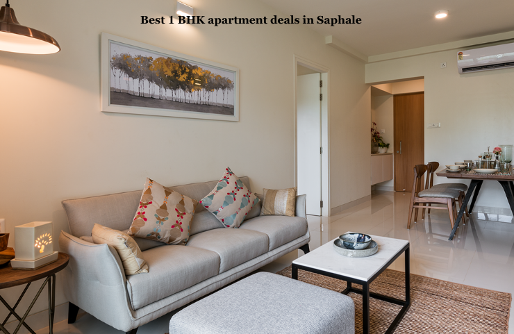 Best 1 BHK apartment deals in Saphale