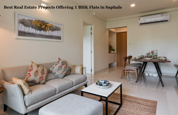 Best Real Estate Projects Offering 1 BHK Flats in Saphale